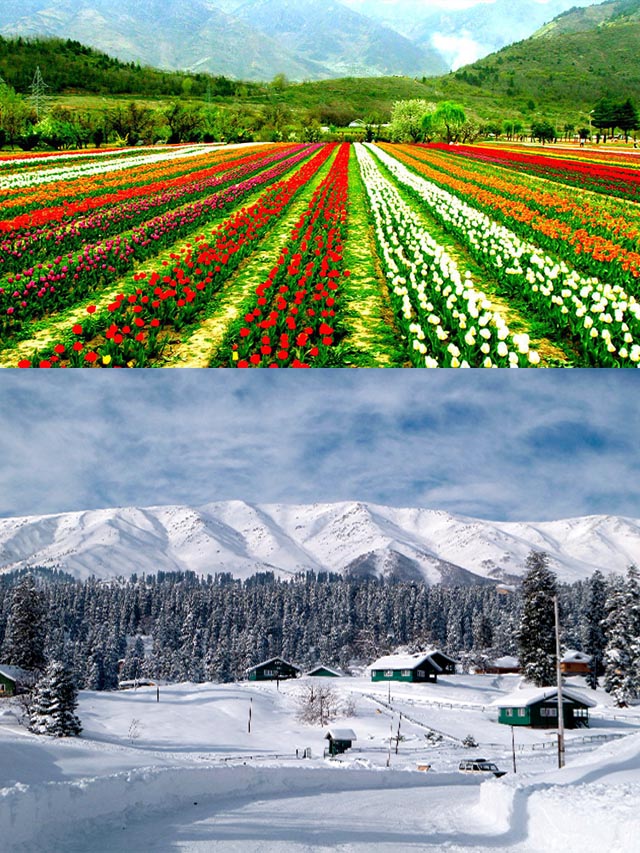 श्रीनगर घुमने क्यों जाना चाहिए